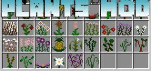Мод на новые растения - Plants Mod для minecraft 1.12.2 1.11.2 1.10.2