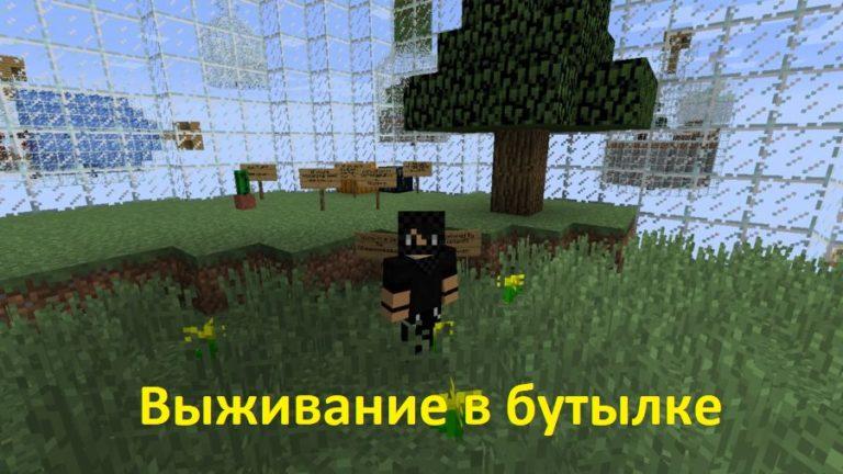 Как узнать карту мира в minecraft по сиду