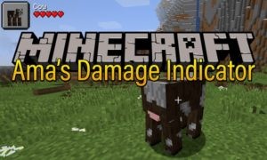 Мод Ama's Damage Indicator для minecraft 1.15.2, 1.14.4