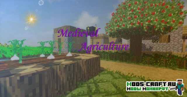 Мод Medieval Agriculture для майнкрафт 1.12.2