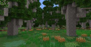 Мод Climatic World Type 1.15.1, 1.14.4