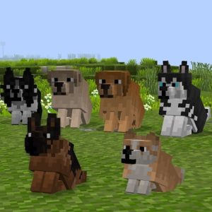 Ресурспак Better Dogs для майнкрафт 1.16.3, 1.15.2, 1.14.4