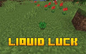 Мод Liquid Luck для Майнкрафт 1.16.5