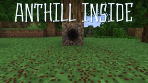 Мод Anthill Inside 1.17.1, 1.16.5 (муравьи)
