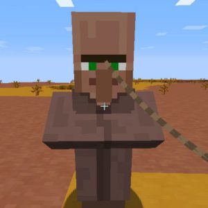 Мод Villagers Leashed 1.16.5, 1.12.2