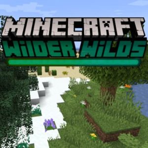 Мод Wilder Wilds 1.16.5