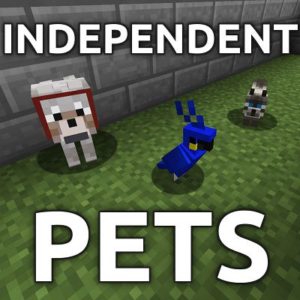 Мод Independent Pets 1.17.1, 1.16.5, 1.12.2
