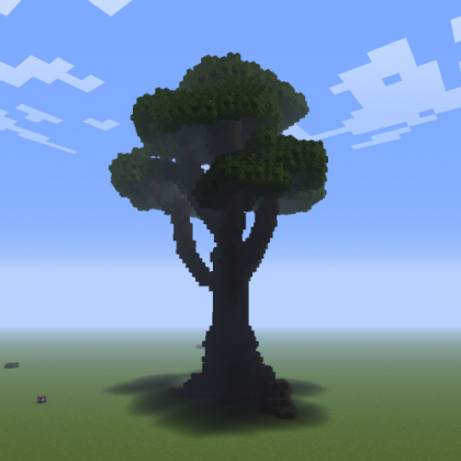 Tan's Huge Trees — гигантские деревья